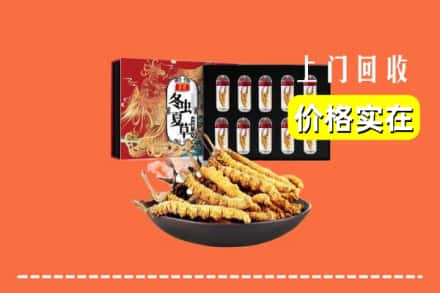 海口秀英区回收冬虫夏草